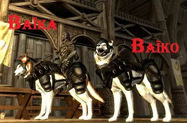 2 Armored Huskies