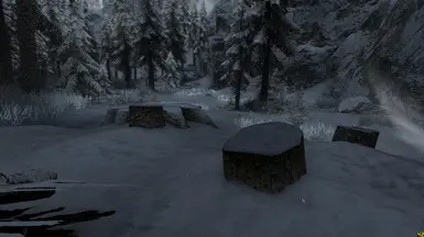 2.0 new snowy stumps