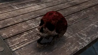 V1.1 LOTD Darkbrotherhood skull textures, without enb