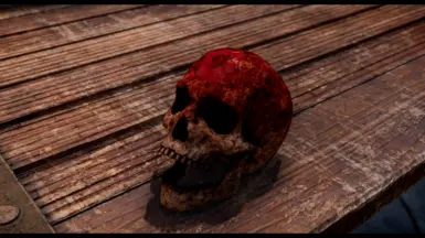 V1.1 LOTD Darkbrotherhood skull textures