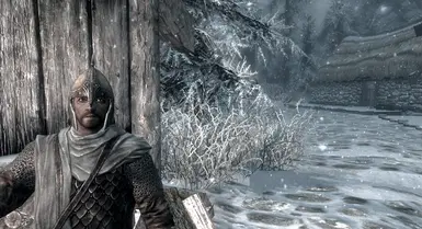 Winterhold Guard with Open Helmet