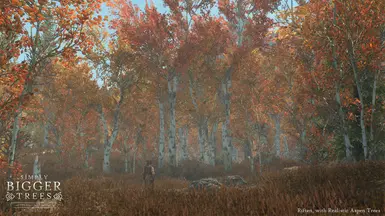 Riften with realistic aspen trees mod