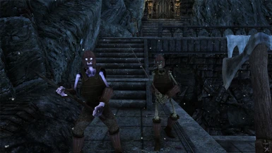 Dawnguard Wrathman and Armored Skeletons(old version textures)