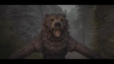 Happy Bear