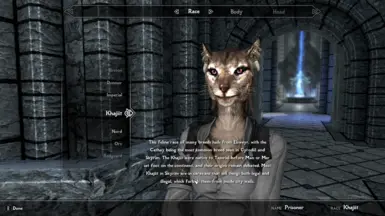 Khajiit race description