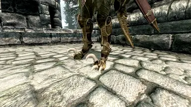 Elven Boots Argonian