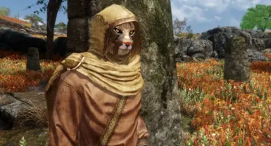 PATCH - High Poly Skyrim M'aiq Replacer