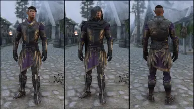 Royal Elven Armor Light Set (Male)