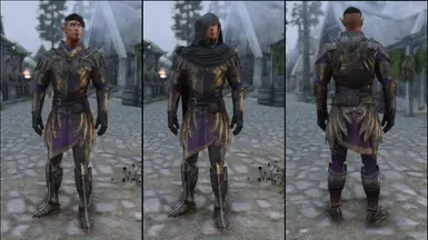 Royal Elven Armor Heavy Set (Male)