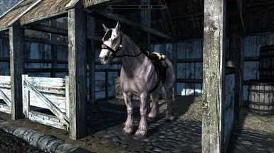 Horses can now spawn with randomised skin/fur