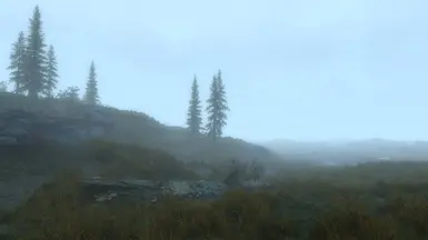 new rare tundra fog