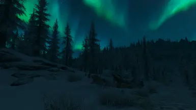 bright aurora nights