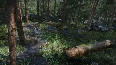 Nature of the Wild Lands -  forest and trees improvement mod