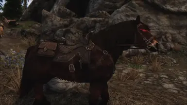 Shadowmere Saddle