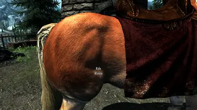 Horse Textures 1K