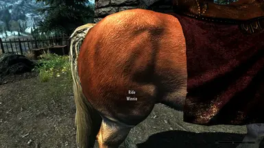 Horse Textures 2K