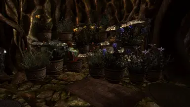 Planters in Alchemy lab