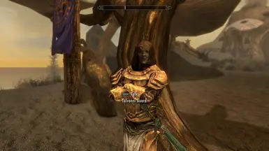 Telvanni Guard