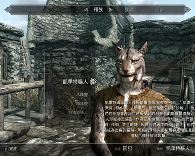 Unofficial Chinese Translation for Skyrim Special Edition