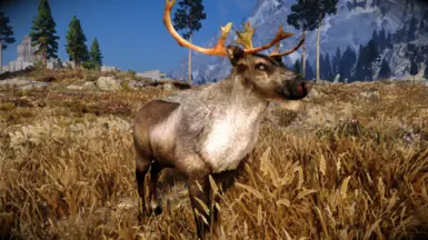 MM Real Elks - Reindeer