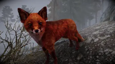 Animallica - Red Fox