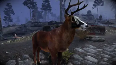 Animallica - Female Roan Deer