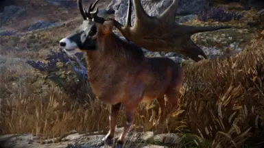 Animallica - Male Roan Deer