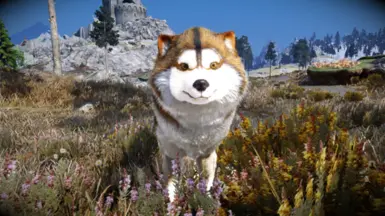 Animallica - Brown Husky