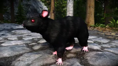 gg77 Skeever Replacer - Black Rat