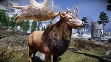 MM Real Elk - Male