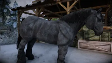 Bellyaches - Blue Roan Horse