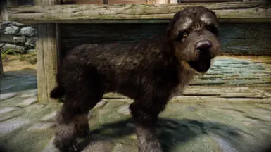 SkyTest - Whiterun Puppy