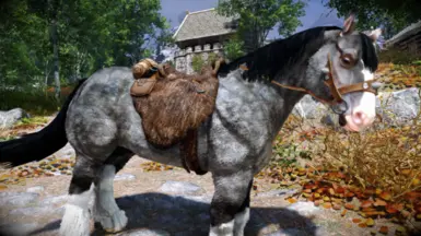 Slof's Horses - Base Pack H3