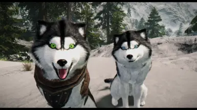 HD Huskies - Black