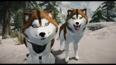 HD Huskies - Brown