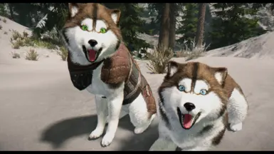 HD Huskies - Dark Brown