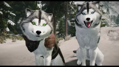 HD Huskies - Grey