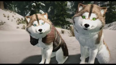 HD Huskies - Pale Brown