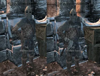 Optional. Windhelm guard sleeve and cloak.