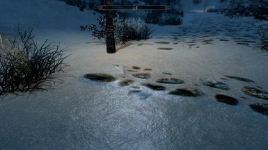 Nordic Snow with SE Snow Shader