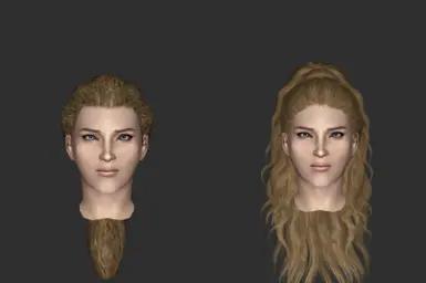 HairFemaleNord12 (vanilla | modded)