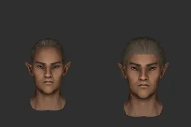 HairMaleDarkElf09 (vanilla | modded)