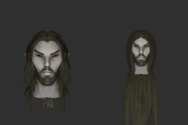 HairMaleElf08 (vanilla | modded)