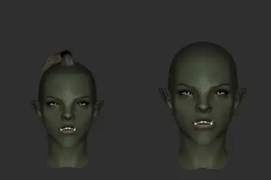 HairFemaleOrc09 (vanilla | modded)