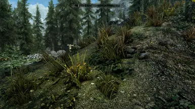 ENB Complex Grass disabled