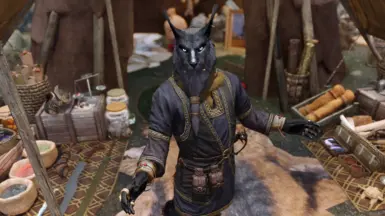 Khajiit has wares, if you have the coin!