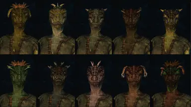 Argonian Female