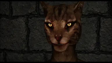 Khajiit - Deeja