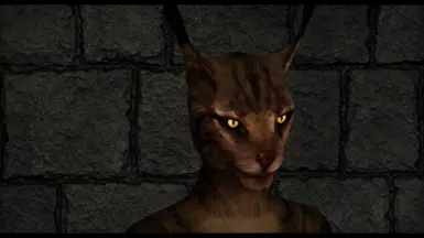 Khajiit - Deeja