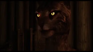 Khajiit - Deeja